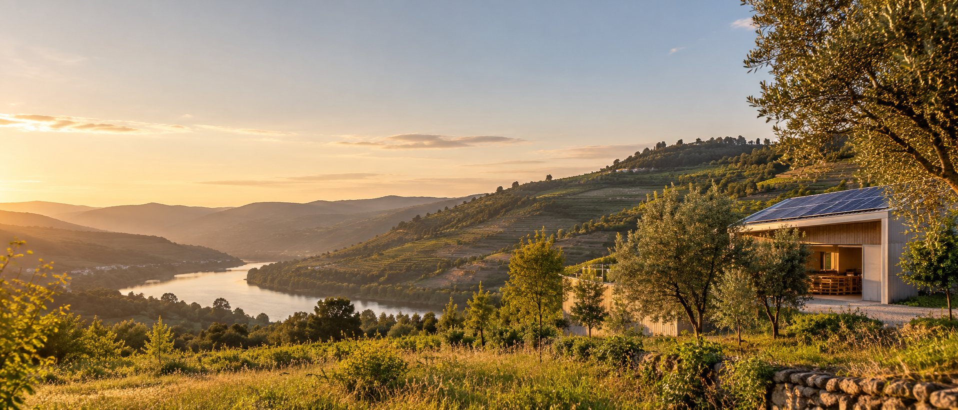 A river valley in northern Portugal at sunset, with a small workshop with solar panels among olive trees
